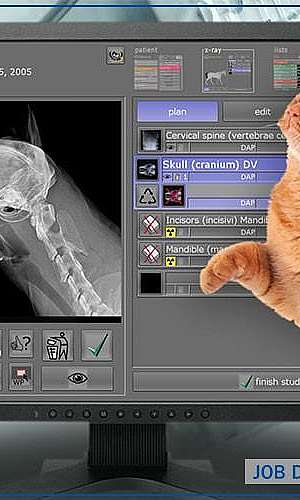 Equipamento radiologia digital Equipamento radiologia digital