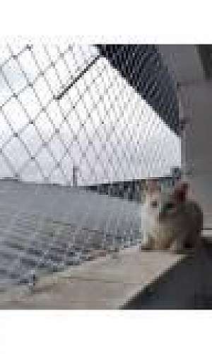 Preço de tela de proteção Preço de tela de proteção